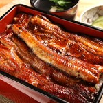 町田 うなぎ流木 - 