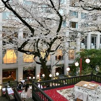 鉄板焼 桂 - 