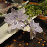 うなぎ屋酒坊・画荘 越後屋 - ハンドパワーでお花を咲かせました。（嘘）