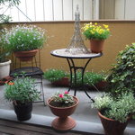 セルフィーユ - バルコニーには良く手入れされたガーデニング