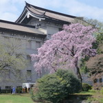 空也 - 国立博物館の庭園が、開放されていました。