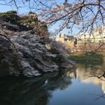 空也 - 千鳥ヶ淵の桜