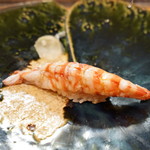 鮨松榮 - 車海老