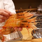 東麻布 天本 - 41