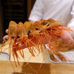 東麻布 天本 - 42