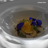 SALONE TOKYO - 