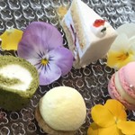 AMOUR - ミニチュアケーキ