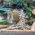 AMOUR - 筍、木の芽、山椒