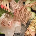 小料理　天城 - 静岡産の魚介と山葵！満足させます！