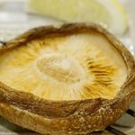 焼鳥　おみ乃 - 