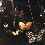 ティル・ナ・ノーグ - 蝶の剥製から、妖精の羽ができあがる