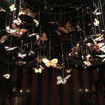 ティル・ナ・ノーグ - 天井から本物の蝶が