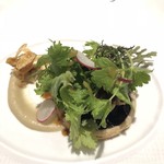 マスドラヴァンド - 