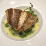 マスドラヴァンド - 