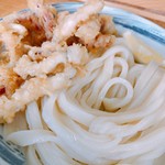 玉藻うどん - アップ  美味しいよぉ〜