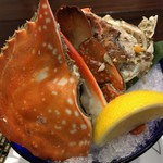 汀邸　遠音近音　Ochi Kochi - 