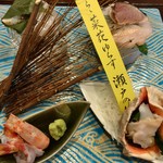 汀邸　遠音近音　Ochi Kochi - 