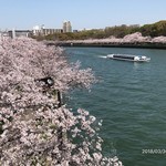ザ・ガーデンオリエンタル・大阪 - 大川沿いの桜風景