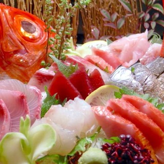 ◆神奈川県産◆新鮮な地魚をお届け