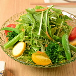 糸島蔬菜的繽紛沙拉