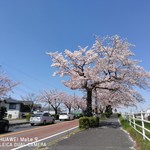 The Noodles & Saloon Kiriya - 