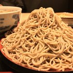 味奈登庵 - #食べログ的に撮るとこうなる。  
      さすが味奈登庵、富士山盛りだけでなく、大盛りもボリューム十分。