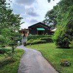 カフェ白樺堂 - 