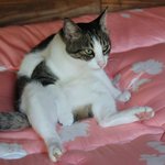 民宿 海山木 - 毎朝３－４時間は寄っていきました