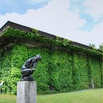 カフェ白樺堂 - 