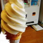 食事処 南麓 - 温泉の塩を使ったソフトクリームは250円でした