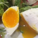 ビストロ ティアボ - 