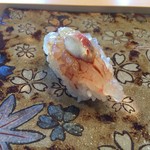 鮨おおね田 - ぼたんえび