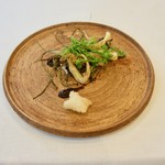 ヴィラ・アイーダ - 鰆　ノビル