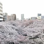 Fukusaya - 中目黒駅から見た桜の絨毯