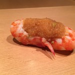 鮓職人 秦野よしき - 車海老