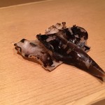 鮓職人 秦野よしき - とり貝