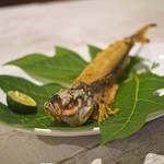 島料理カフェ ふからすや - 