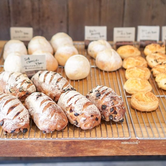 Kissa to Pan do. photo 3