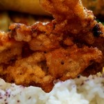 お持ち帰り専門店 餃子家 龍 - 唐揚げ