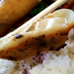 お持ち帰り専門店 餃子家 龍 - 焼き餃子