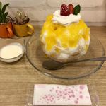 天然氷のかき氷 ひめじ官兵衛堂 - 