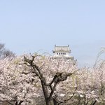 天然氷のかき氷 ひめじ官兵衛堂 - 