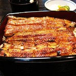 喜代川 - うな重