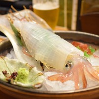 博多割烹 水音 川端店 - イカ刺しです‼︎
