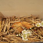 傳 - 30年3月　傳タッキー