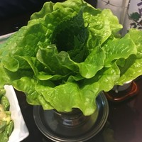 游玄亭 新宿 - サンチュ　800円