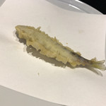 天ぷら  やました - 天ぷらやました(稚鮎)