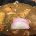 こだわり麺処 かとう - カレーうどん　アップ