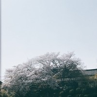 ラ・テラス イリゼ - 