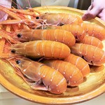 銀座 しのはら - 丸々とした赤座海老